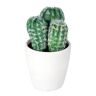 viva domo Künstlicher Kaktus