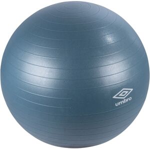 DMH Fitness Ball grau