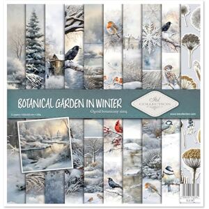 ITD Collection Scrapbook Papier Scrapbooking Set Motivpapier zum Basteln Dekorpapier 12x12 inches 310 x 310 mm 10 Blatt + 1 – Botanical Garden in Winter SLS-087 ITD Collection Scrapbook Papier Scrapbooking Set Motivpapier zum Basteln Dekorpapier 12x12 inches 310 x 310 mm 10 Blatt + 1 – Botanical Garden in Winter SLS-087