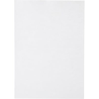 Clairefontaine 24385C Packung mit 25 Blatt Pollen, DIN A4, 210 x 297 mm, 210g, Perlmutt Weiß Clairefontaine 24385C Packung mit 25 Blatt Pollen, DIN A4, 210 x 297 mm, 210g, Perlmutt Weiß
