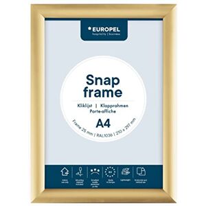 Europel leichte Klapprahmen DIN A4, Easy-Click System, Profil 25x11 mm, Farbe Gold, eloxierte Aluminium und blendfreie Schutzfolie, Außenmaß 241x328 mm, grau Polystyrol Rückseite Europel leichte Klapprahmen DIN A4, Easy-Click System, Profil 25x11 mm, Farbe Gold, eloxierte Aluminium und blendfreie Schutzfolie, Außenmaß 241x328 mm, grau Polystyrol Rückseite