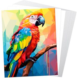 Kiperline Druckerpapier A4 160g/m² 50 PCS Kopierpapier A4 Drucker Papier Weiß für Laserdrucker und Tintenstrahldrucker Geeignet Kiperline Druckerpapier A4 160g/m² 50 PCS Kopierpapier A4 Drucker Papier Weiß für Laserdrucker und Tintenstrahldrucker Geeignet