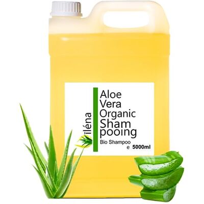 Oïléna Bio Shampoo mit Aloe Vera, Argan und Vitaminen Anti-Haarausfall Für Alle Haartypen Natürliche und Bio-Zertifiziert Nicht Fettend, 5 Liter Oïléna Bio Shampoo mit Aloe Vera, Argan und Vitaminen Anti-Haarausfall Für Alle Haartypen Natürliche und Bio-Zertifiziert Nicht Fettend, 5 Liter