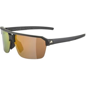 ALPINA SWIFT HR, Sportbrille für Erwachsene, black-gold matt, One Size, 100% UV-A-, UV-B- und UV-C-Schutz ALPINA SWIFT HR, Sportbrille für Erwachsene, black-gold matt, One Size, 100% UV-A-, UV-B- und UV-C-Schutz