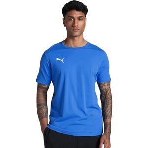 Puma Unisex Teamgoal Casuals Tee T-Shirt, Ignite Blue- White, L EU Puma Unisex Teamgoal Casuals Tee T-Shirt, Ignite Blue- White, L EU