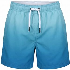 RIPT Jungen Essentials Quick Dry UV 50 Sonnenschutz Badeshorts Badehose, Blue Dip Dye, 7-8 Jahre RIPT Jungen Essentials Quick Dry UV 50 Sonnenschutz Badeshorts Badehose, Blue Dip Dye, 7-8 Jahre
