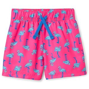 Amazon Essentials Jungen Schnelltrocknende Badeshorts Badehose, Kräftiges Rosa Flamingo, 5 Jahre Amazon Essentials Jungen Schnelltrocknende Badeshorts Badehose, Kräftiges Rosa Flamingo, 5 Jahre