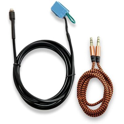 1neiSmartech Aux-Kabel kompatibel mit Fiat Punto 500 für Radio Delphi Bosch Keine Quelle verfügbar und kompatibel mit Fiat Panda Radio Continental mit Buchse + Jumper + Extraktionskit + Nylonkabel 1neiSmartech Aux-Kabel kompatibel mit Fiat Punto 500 für Radio Delphi Bosch Keine Quelle verfügbar und kompatibel mit Fiat Panda Radio Continental mit Buchse + Jumper + Extraktionskit + Nylonkabel