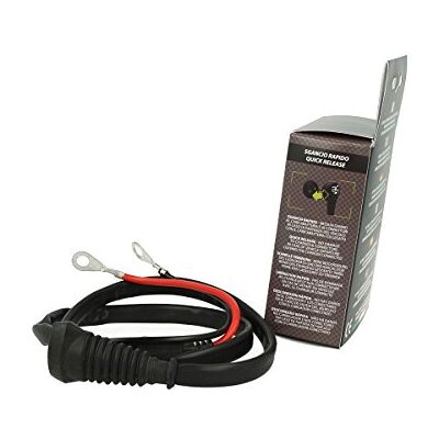 BATTERY CONTROLLER BC 710-MAG-CABLE Batterieanschlusskabel mit Ösen BATTERY CONTROLLER BC 710-MAG-CABLE Batterieanschlusskabel mit Ösen
