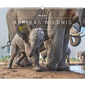 PALAZZI - Hautnah Afrikas Wildnis 2026 PALAZZI - Hautnah Afrikas Wildnis 2026