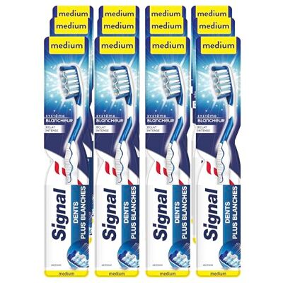 Signal Zahnbürste X12 Medium, weißes System mit intensivem Glanz, Emaille der Zähne plus weiß (12 Stück) Signal Zahnbürste X12 Medium, weißes System mit intensivem Glanz, Emaille der Zähne plus weiß (12 Stück)