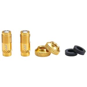 BBB Cycling CoreCap Ventilkappen-Set (2 Stück) – Innovativer Ersatz für Presta-Ventileinsätze, bis zu 300% mehr Luftstrom, Ideal für Tubeless, MTB, Rennrad & E-Bike BTI-165 Gold BBB Cycling CoreCap Ventilkappen-Set (2 Stück) – Innovativer Ersatz für Presta-Ventileinsätze, bis zu 300% mehr Luftstrom, Ideal für Tubeless, MTB, Rennrad & E-Bike BTI-165 Gold