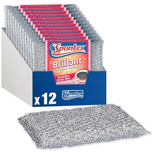 Spontex Brillant - Oberflächenreinigungspads - Silber und Rosa Spontex Brillant - Oberflächenreinigungspads - Silber und Rosa
