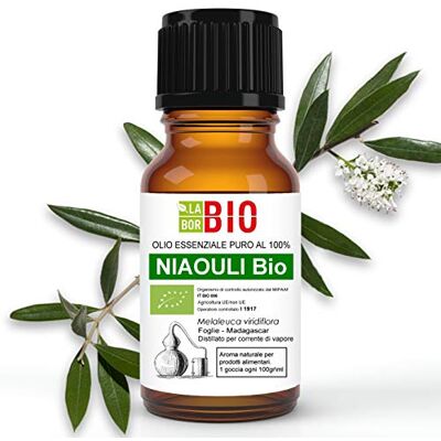 Laborbio NiaouliÖl Bio Ätherisches Öl 100% Reines 10 ml Aromatherapie Kosmetik Therapeutische Laborbio NiaouliÖl Bio Ätherisches Öl 100% Reines 10 ml Aromatherapie Kosmetik Therapeutische