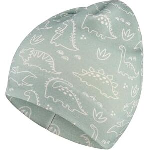 Sterntaler Beanie aus Sweat mit Flauschiger Rückseite und Saurier-Print – Jungen – weich und pflegeleicht – Mütze für Baby und Kinder, steingrün, Größe 55 Sterntaler Beanie aus Sweat mit Flauschiger Rückseite und Saurier-Print – Jungen – weich und pflegeleicht – Mütze für Baby und Kinder, steingrün, Größe 55