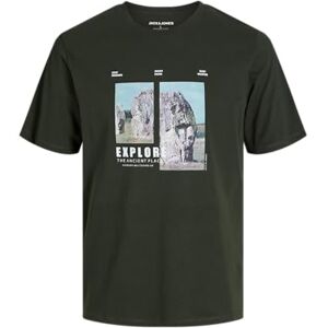 JACK & JONES Jjryu Tee Ss Crew Neck JACK & JONES Jjryu Tee Ss Crew Neck