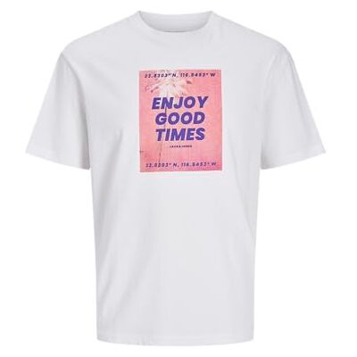 JACK & JONES Jjporto Tee Ss Crew Neck JACK & JONES Jjporto Tee Ss Crew Neck