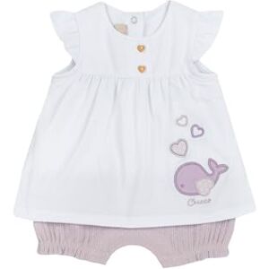 Chicco , Strampler Neugeborenes, mit Bequemer Öffnung am Rücken und mit Klappe, Designed in Italy, Babykleidung 0-24 Monate, Geschenkideen Geburt Chicco , Strampler Neugeborenes, mit Bequemer Öffnung am Rücken und mit Klappe, Designed in Italy, Babykleidung 0-24 Monate, Geschenkideen Geburt