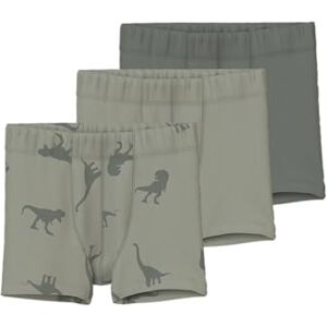 NAME IT Jungen Nmmtights 3p Agave Green Dino Noos Boxershorts, Agave Green, 86 EU NAME IT Jungen Nmmtights 3p Agave Green Dino Noos Boxershorts, Agave Green, 86 EU