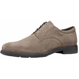 Geox Herren U Dublin C Oxford, Dove Grey, 46 EU Geox Herren U Dublin C Oxford, Dove Grey, 46 EU