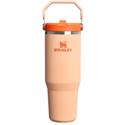 Stanley 1913 Flip Straw Tumbler Trinkflasche Mit Strohhalm 0.89L Thermosflasche Hält 12+ Stunden Kalt Spülmaschinenfest Sportflasche Wasserflasche BPA Frei Orange Sherbert Stanley 1913 Flip Straw Tumbler Trinkflasche Mit Strohhalm 0.89L Thermosflasche Hält 12+ Stunden Kalt Spülmaschinenfest Sportflasche Wasserflasche BPA Frei Orange Sherbert