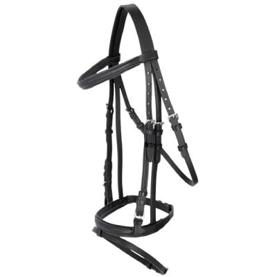 Covalliero Trensenzaum Standard mit Gurtzügeln Schwarz, Größe Shetty, verstellbares Zaumzeug aus Leder mit Metallbeschlägen und Gurtzügeln Covalliero Trensenzaum Standard mit Gurtzügeln Schwarz, Größe Shetty, verstellbares Zaumzeug aus Leder mit Metallbeschlägen und Gurtzügeln