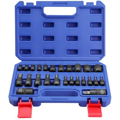 WORKPRO 25-teiliger Torx Bit Steckschlüsselsatz und Außentorx Steckschlüsselsatz, 1/4", 3/8", 1/2" Antrieb, mit Aufbewahrungskoffer WORKPRO 25-teiliger Torx Bit Steckschlüsselsatz und Außentorx Steckschlüsselsatz, 1/4", 3/8", 1/2" Antrieb, mit Aufbewahrungskoffer