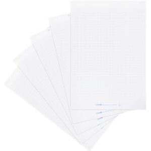 LANDRÉ Flipchart Papier, kariert, 20 Blatt je Block, 6 fach Lochung, 5 Stück LANDRÉ Flipchart Papier, kariert, 20 Blatt je Block, 6 fach Lochung, 5 Stück