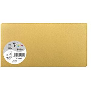 Clairefontaine 11590C Packung mit 25 Karten Pollen in Format DL, 210g 106 x 213mm, Gold Clairefontaine 11590C Packung mit 25 Karten Pollen in Format DL, 210g 106 x 213mm, Gold
