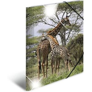 HERMA Sammelmappen A4 Giraffe Set, 3 Stück, Kinder Eckspanner-Mappen aus Kunststoff mit Tier Motiv, Hochglanz-Optik, Gummizug, Innenklappen und Innendruck für Jungen und Mädchen HERMA Sammelmappen A4 Giraffe Set, 3 Stück, Kinder Eckspanner-Mappen aus Kunststoff mit Tier Motiv, Hochglanz-Optik, Gummizug, Innenklappen und Innendruck für Jungen und Mädchen