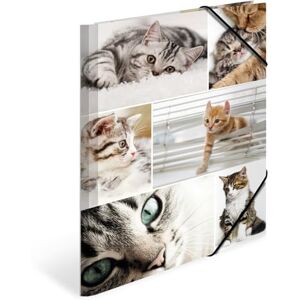HERMA Sammelmappen A4 Katzen Set, 3 Stück, Kinder Eckspanner-Mappen aus Pappe mit Tier Motiv, Gummizug, Innenklappen und Innendruck für Jungen und Mädchen HERMA Sammelmappen A4 Katzen Set, 3 Stück, Kinder Eckspanner-Mappen aus Pappe mit Tier Motiv, Gummizug, Innenklappen und Innendruck für Jungen und Mädchen