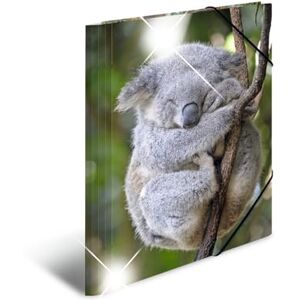 HERMA Sammelmappe A4 Koala, Kinder Eckspanner-Mappe aus Kunststoff mit Tier Motiv, Hochglanz-Optik, Gummizug, Innenklappen und Innendruck für Jungen und Mädchen HERMA Sammelmappe A4 Koala, Kinder Eckspanner-Mappe aus Kunststoff mit Tier Motiv, Hochglanz-Optik, Gummizug, Innenklappen und Innendruck für Jungen und Mädchen
