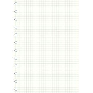 Filofax A4, kariert Note Filofax A4, kariert Note