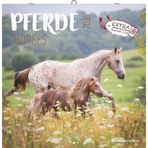 Alpha Pferde Kalender 2026 – Wandkalender & Bildkalender 30x30 cm – Für Reit- & Pferdefreunde – 12 beeindruckende Pferde-Fotografien, viel ... mit Feiertagen & Ferienterminen: Horses Alpha Pferde Kalender 2026 – Wandkalender & Bildkalender 30x30 cm – Für Reit- & Pferdefreunde – 12 beeindruckende Pferde-Fotografien, viel ... mit Feiertagen & Ferienterminen: Horses