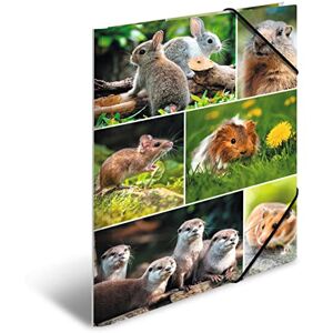 HERMA Sammelmappe A4 Nagetiere, Kinder Eckspanner-Mappe aus Pappe mit Tier Motiv, Gummizug, Innenklappen und Innendruck für Jungen und Mädchen HERMA Sammelmappe A4 Nagetiere, Kinder Eckspanner-Mappe aus Pappe mit Tier Motiv, Gummizug, Innenklappen und Innendruck für Jungen und Mädchen