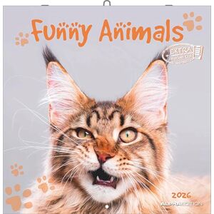 Alpha Funny Animals 2026 – Wandkalender 30×30 cm (30×60 geöffnet) mit lustigen Tierfotos & Sprüchen, 6-sprachiger Broschürenkalender mit ... Feiertagen: by Lucia Heffernan Alpha Funny Animals 2026 – Wandkalender 30×30 cm (30×60 geöffnet) mit lustigen Tierfotos & Sprüchen, 6-sprachiger Broschürenkalender mit ... Feiertagen: by Lucia Heffernan
