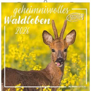 Alpha Geheimnisvolles Waldleben Kalender 2026 – Wandkalender 30x30 cm – Für Naturliebhaber – 12 beeindruckende Waldtier-Fotografien, viel ... Feiertagen & Ferienterminen: Forest Animals Alpha Geheimnisvolles Waldleben Kalender 2026 – Wandkalender 30x30 cm – Für Naturliebhaber – 12 beeindruckende Waldtier-Fotografien, viel ... Feiertagen & Ferienterminen: Forest Animals