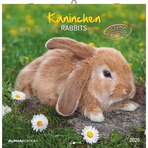 Alpha Kaninchen Kalender 2026 – 30x30 cm – Bildkalender für Tierfreunde – Niedlicher Wandkalender mit süßen Kaninchenmotiven – Platz für Notizen – Inkl. Poster – FSC-zertifiziert: Rabbits Alpha Kaninchen Kalender 2026 – 30x30 cm – Bildkalender für Tierfreunde – Niedlicher Wandkalender mit süßen Kaninchenmotiven – Platz für Notizen – Inkl. Poster – FSC-zertifiziert: Rabbits