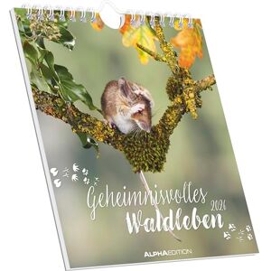 Alpha Geheimnisvolles Waldleben 2026 – Postkartenkalender 16×17 cm mit 53 Naturmotiven, FSC-zertifiziert, als Tisch- & Wandkalender nutzbar, perforierte Karten zum Verschicken & Sammeln Alpha Geheimnisvolles Waldleben 2026 – Postkartenkalender 16×17 cm mit 53 Naturmotiven, FSC-zertifiziert, als Tisch- & Wandkalender nutzbar, perforierte Karten zum Verschicken & Sammeln