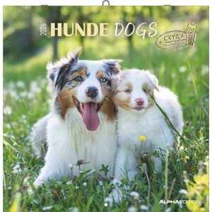 Alpha Hunde Kalender 2026 – Wandkalender 30x30 cm für Hundeliebhaber – 6-sprachiges Kalendarium mit Feiertagen & Ferienterminen, Monatsübersichten & viel Platz für Notizen, Ringbindung: Dogs Alpha Hunde Kalender 2026 – Wandkalender 30x30 cm für Hundeliebhaber – 6-sprachiges Kalendarium mit Feiertagen & Ferienterminen, Monatsübersichten & viel Platz für Notizen, Ringbindung: Dogs