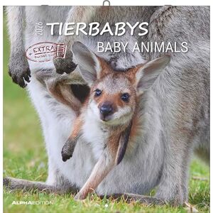 Alpha Tierbabys Kalender 2026 – Wandkalender 30×30 cm (30×60 geöffnet) als Broschürenkalender mit 12 Tiermotiven, Kalender mit Platz für ... Geschenk für Tierliebhaber: Baby Animals Alpha Tierbabys Kalender 2026 – Wandkalender 30×30 cm (30×60 geöffnet) als Broschürenkalender mit 12 Tiermotiven, Kalender mit Platz für ... Geschenk für Tierliebhaber: Baby Animals