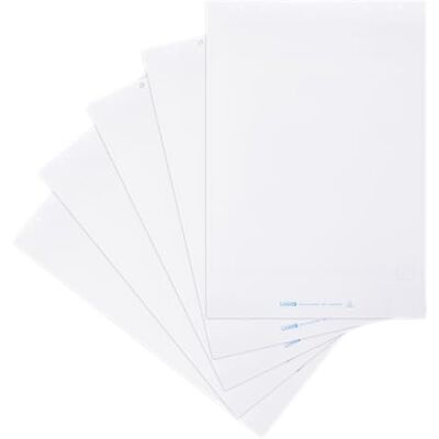 LANDRÉ Flipchart-Papier recycling, blanko, mit 20 Blatt je Block, 6 fach Lochung, 5 Stück LANDRÉ Flipchart-Papier recycling, blanko, mit 20 Blatt je Block, 6 fach Lochung, 5 Stück