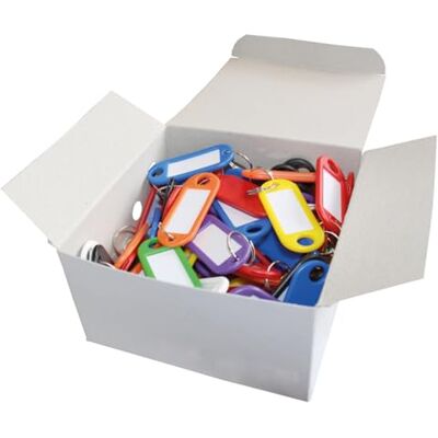 WEDO Schlüsselanhänger 100 Stück, farbig sortiert – mit 18 mm Ring, beschriftbar & Etiketten auswechselbar, 52×21×3 mm, Made in Germany WEDO Schlüsselanhänger 100 Stück, farbig sortiert – mit 18 mm Ring, beschriftbar & Etiketten auswechselbar, 52×21×3 mm, Made in Germany
