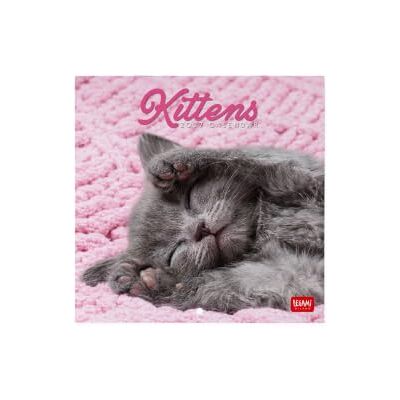 LEGAMI – Kalender 2027 Wandkalender, Kittens, 12 Monate, 18 x 18 cm LEGAMI – Kalender 2027 Wandkalender, Kittens, 12 Monate, 18 x 18 cm