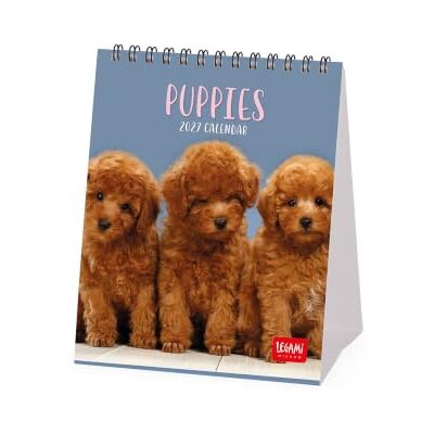 LEGAMI – Tischkalender 2027, Puppies, 12 Monate, 5 cm LEGAMI – Tischkalender 2027, Puppies, 12 Monate, 5 cm