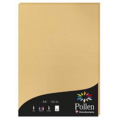 Clairefontaine 4279C Packung mit 50 Karten Pollen 120g, DIN A4, 21 x 29,7cm, Karamel Clairefontaine 4279C Packung mit 50 Karten Pollen 120g, DIN A4, 21 x 29,7cm, Karamel