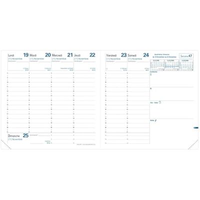 QUO VADIS Nachfüllpack Agenda – 2025 – Executive – Wochenkalender – Französisch – 13 Monate von Dezember bis Dezember – 16 x 16 cm – Papier Clairefontaine weiß – hergestellt in Frankreich QUO VADIS Nachfüllpack Agenda – 2025 – Executive – Wochenkalender – Französisch – 13 Monate von Dezember bis Dezember – 16 x 16 cm – Papier Clairefontaine weiß – hergestellt in Frankreich