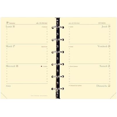 QUO VADIS 938004Q Nachfüllung für Terminkalender Timer 14 Horizontal (2018/2019) QUO VADIS 938004Q Nachfüllung für Terminkalender Timer 14 Horizontal (2018/2019)