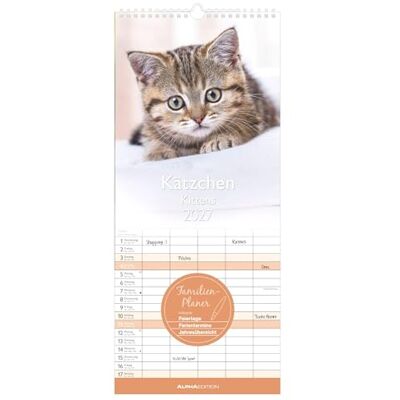 Alpha Kätzchen 2027: Familienkalender 19,5x45 cm mit 5 Spalten, süßen Katzenmotiven, Schulferien, Feiertagen & 4-sprachigem Kalendarium, für Familienorganisation Alpha Kätzchen 2027: Familienkalender 19,5x45 cm mit 5 Spalten, süßen Katzenmotiven, Schulferien, Feiertagen & 4-sprachigem Kalendarium, für Familienorganisation