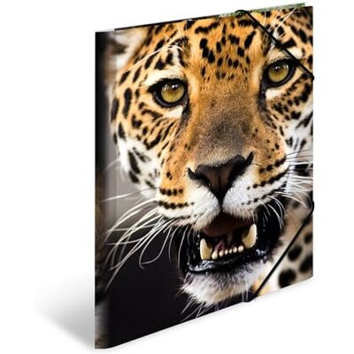 HERMA Sammelmappe A4 Leopard, Kinder Eckspanner-Mappe aus Kunststoff mit Tier Motiv, Gummizug, Innenklappen und Innendruck für Jungen und Mädchen HERMA Sammelmappe A4 Leopard, Kinder Eckspanner-Mappe aus Kunststoff mit Tier Motiv, Gummizug, Innenklappen und Innendruck für Jungen und Mädchen
